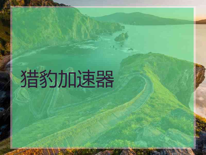 猎豹加速器 猎豹加速器